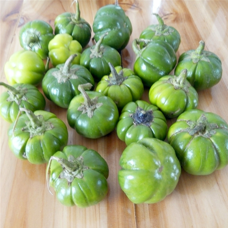 1kg 苦子果 云南德宏少数民族特色 苦茄 洋苦子 小茄子蔬菜生鲜