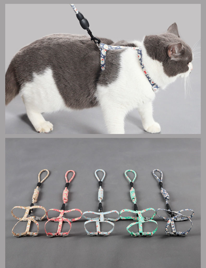 猫绳子牵引绳猫咪项圈猫咪牵引绳外出幼猫成猫溜猫绳栓猫猫咪用品红色