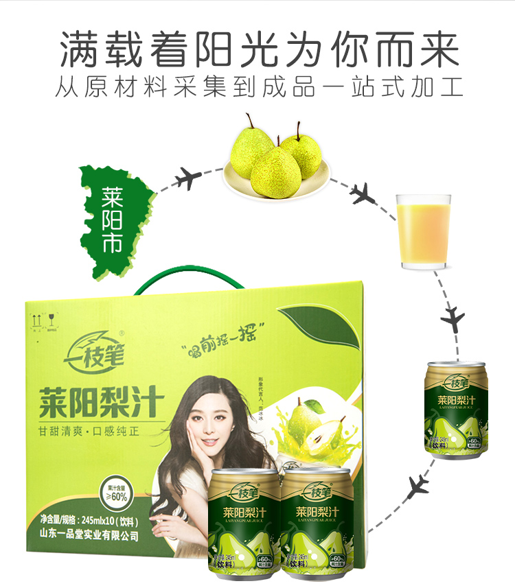 苏宁超市自营超级新品 一枝笔莱阳梨汁果汁饮料 245ml*10