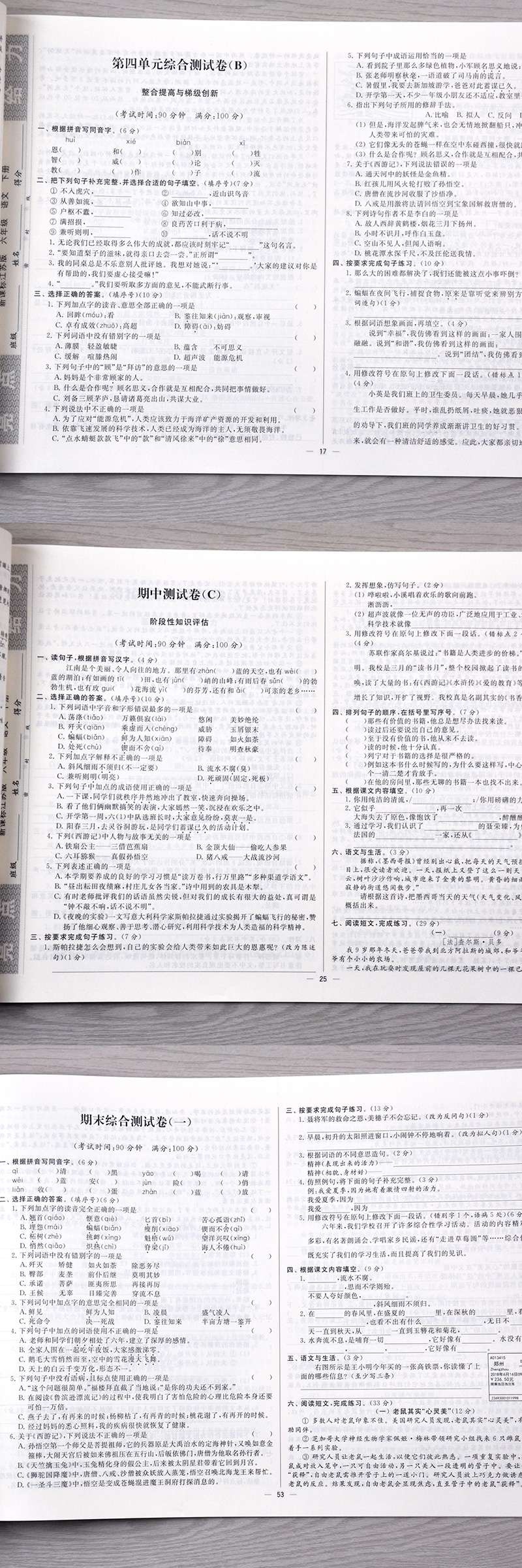 人教版2020全新正版亮点给力大试卷六年级语文下册小学6六年级语文