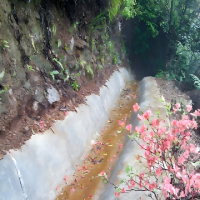 CXM 蔡晓民 XIAO MIN CAI+复合卷材+7h速凝FHjSN1-10-5+平方米