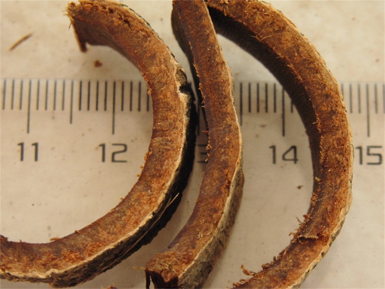 250g精选优质紫油厚朴纯树干厚皮干净无杂品质好姜厚朴川朴材