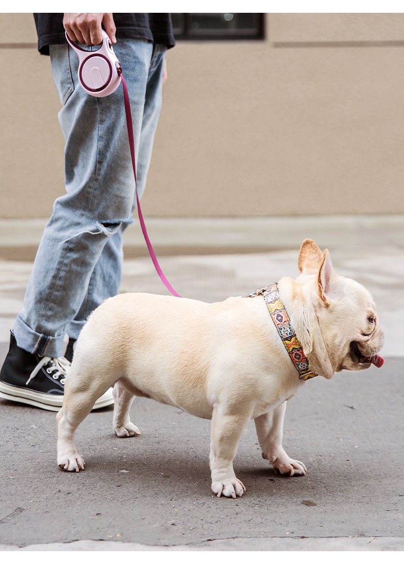 狗狗牵引绳自动伸缩遛狗绳狗链子中型小型犬泰迪博美柯基宠物用品经典