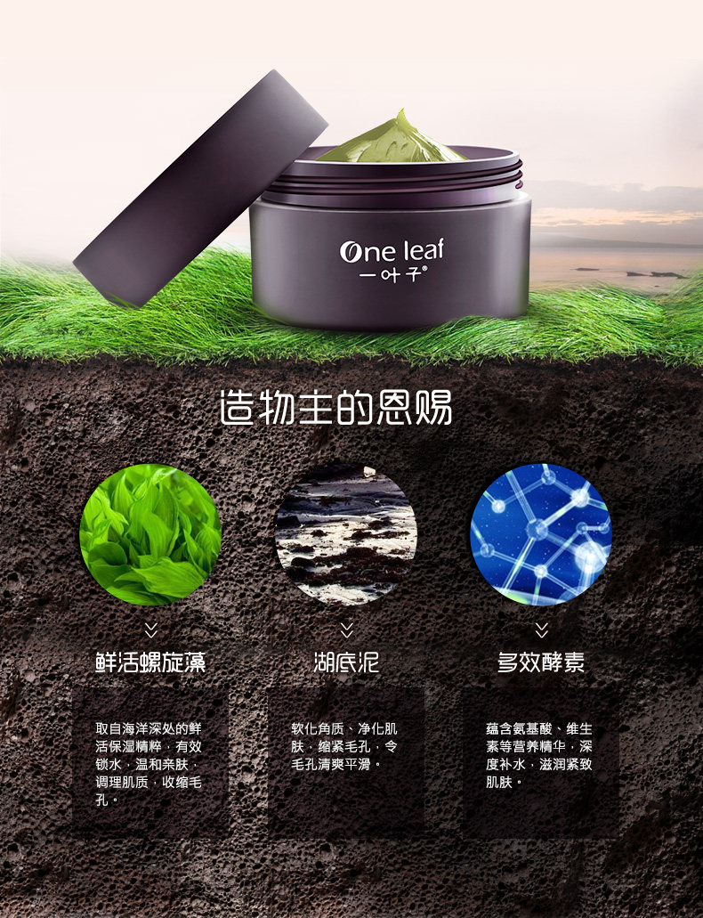 一叶子海藻泥面膜绿泥膜补水保湿控油深层清洁收缩毛孔男女 150g