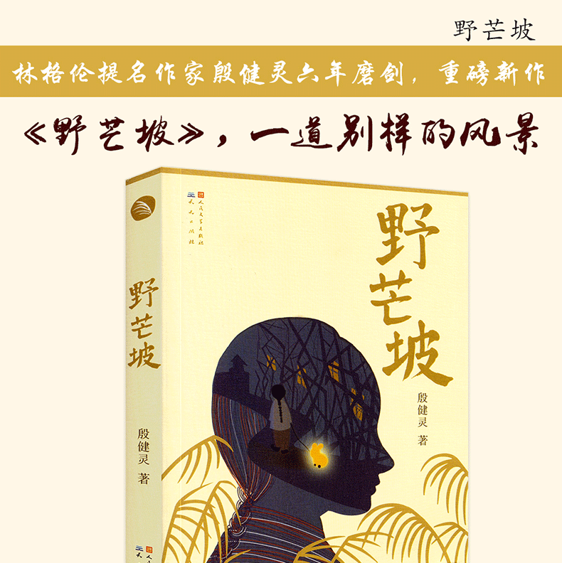 2016中国好书野芒坡殷健灵儿童文学长篇力作男孩成长励志故事914岁