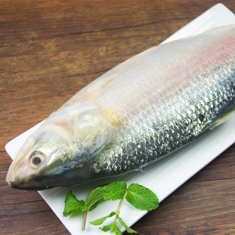 个人店其他品牌生活家居 大冰鲜鲥鱼1条约2斤-2.