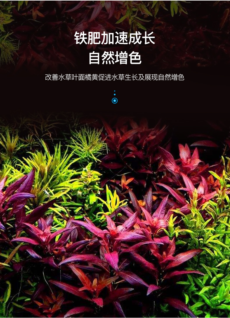 茉写宠物日用yee水营养液综合液肥鱼缸水族箱肥料抑藻防烂根叶不伤鱼促长 价格图片品牌报价 苏宁易购玖信宠物用品专营店