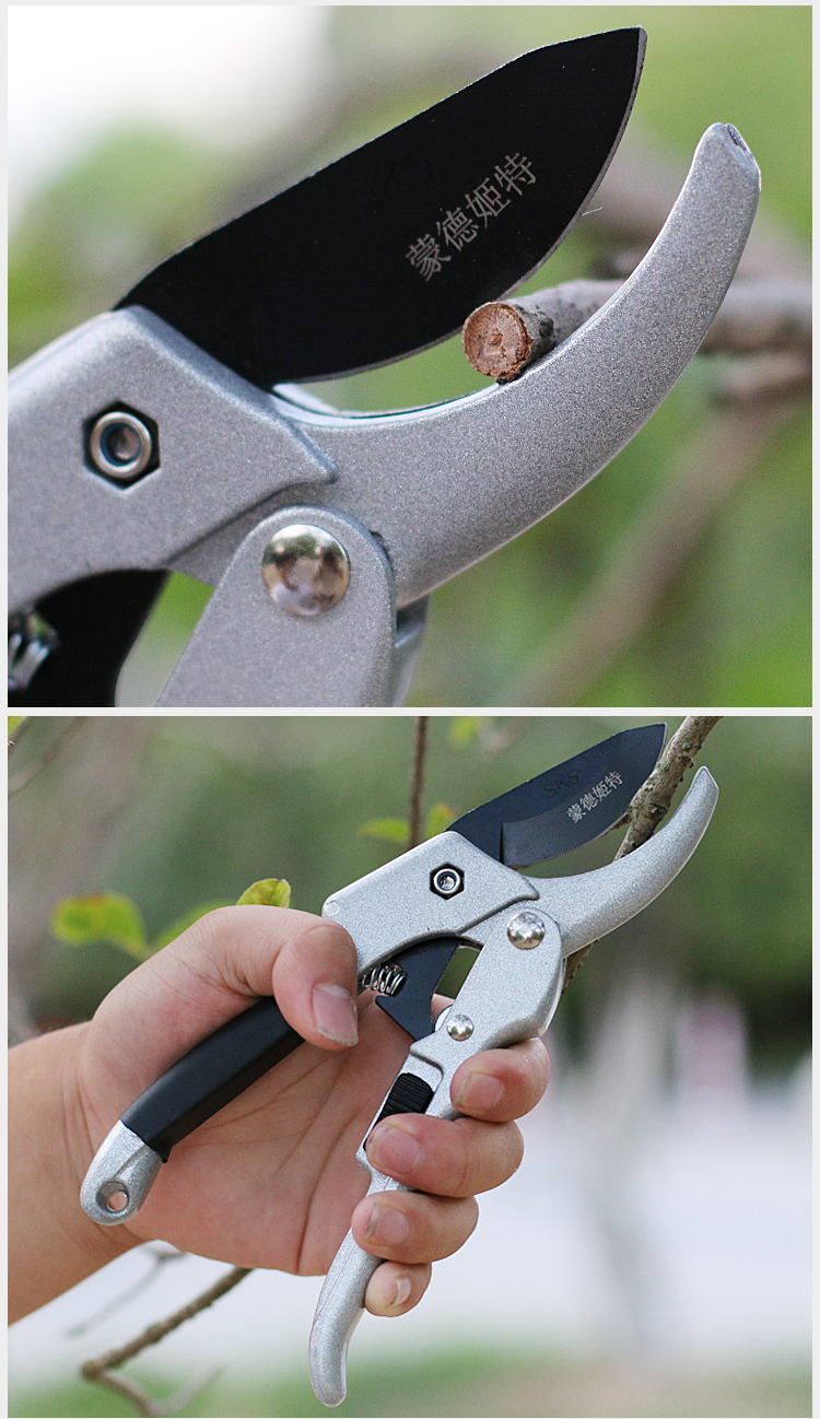 封后园艺省力剪刀园林花木修剪工具修枝剪果树剪刀整枝剪园艺剪枝树枝