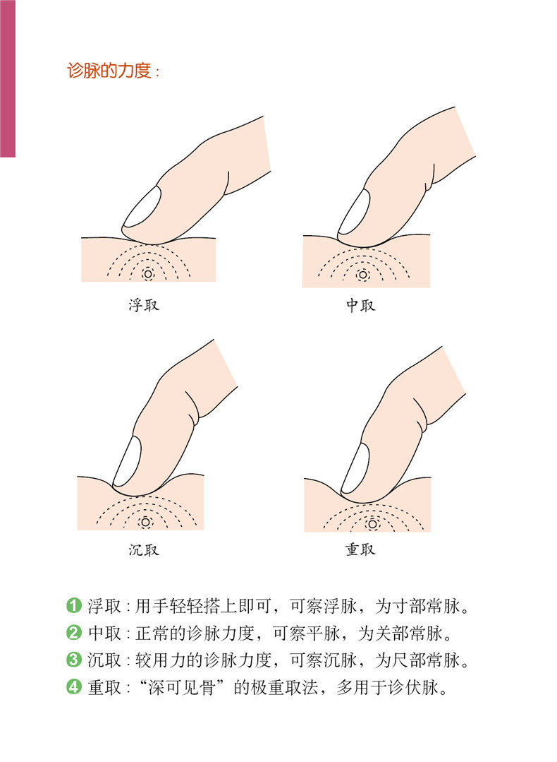 中醫脈診一點通中醫把脈書籍入診脈書把脈自學中醫脈診書籍把脈號脈摸