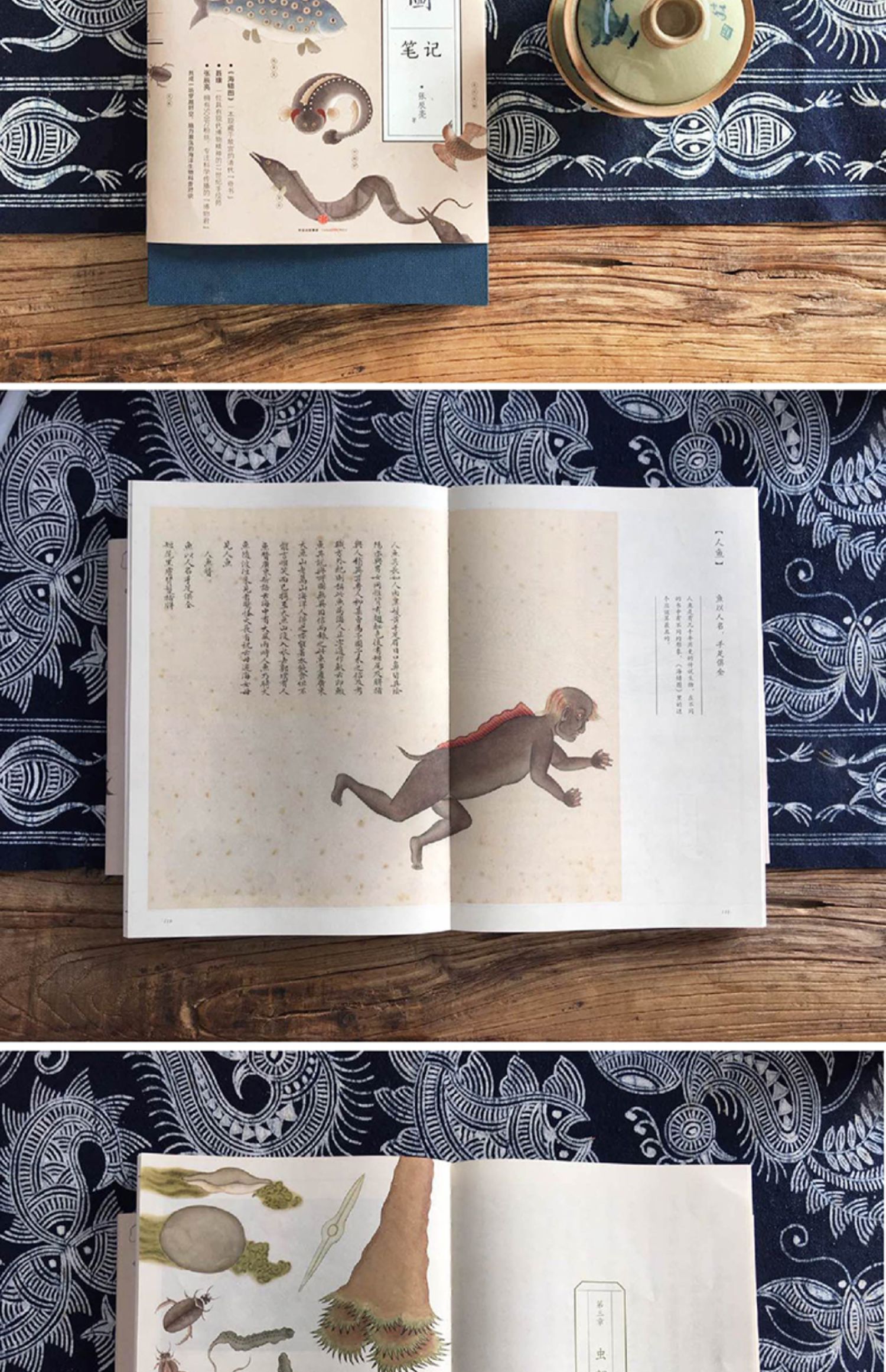 《【颜系图书】海错图笔记 张辰亮 解读故宫藏品《海错图》中的生物