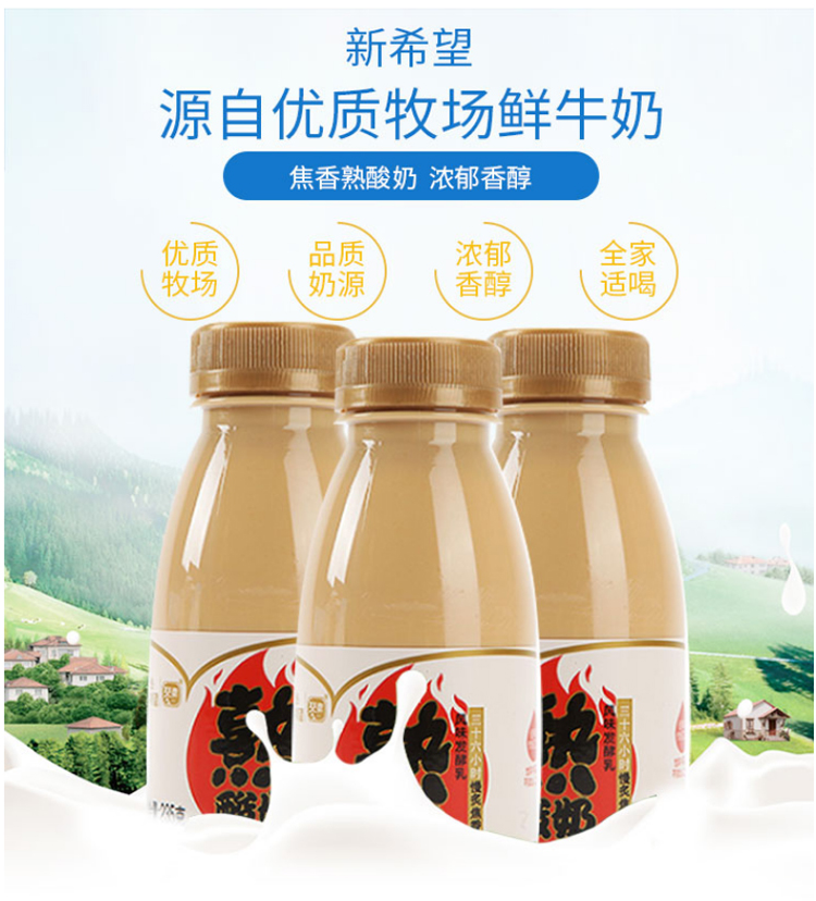新希望琴牌青岛产熟酸奶俄罗斯炭烧味低温酸奶冷藏发货早餐营养奶235