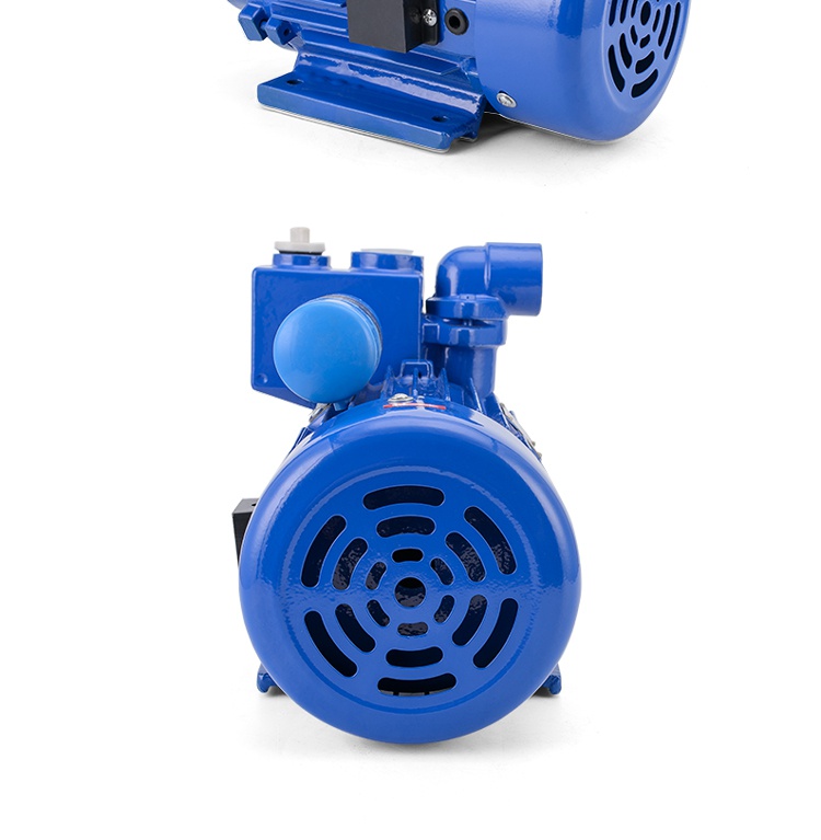 水泵家用自吸抽水泵纯铜线叶轮单相自来水铸铁增压泵220v高扬程25dbz