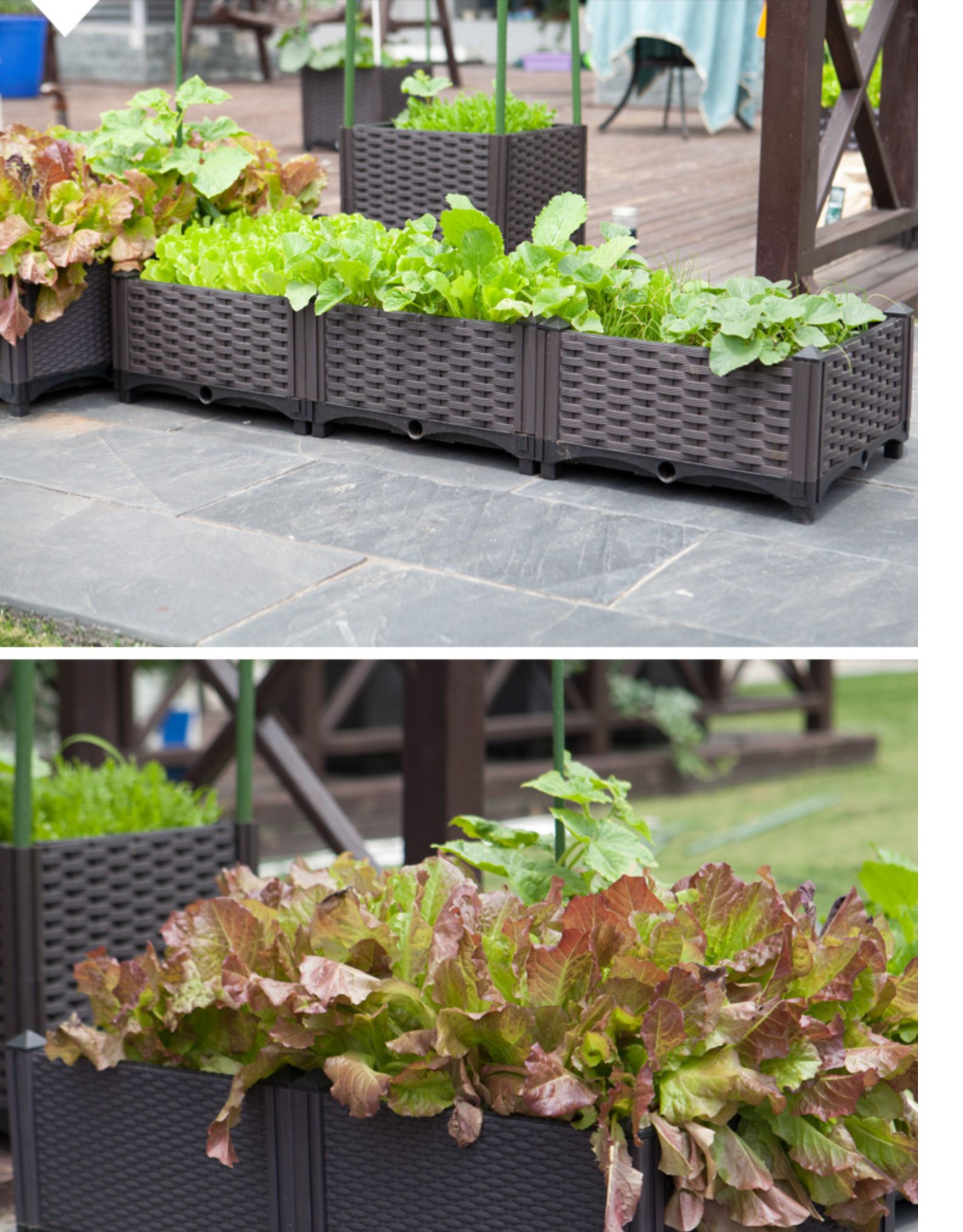 家庭阳台蔬菜种植箱楼顶种菜神器花园种菜盆加厚塑料长方形花盆单层二