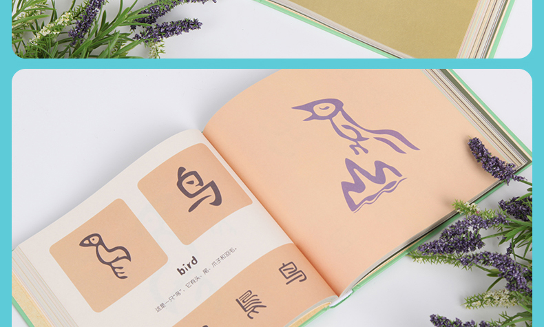 正版汉字是画出来的036岁小象汉字我的汉字书幼儿早教启蒙甲骨文识字