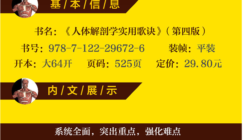 人體解剖學實用歌訣第四版人體穴位分佈圖譜人體器官解剖臨床醫學書