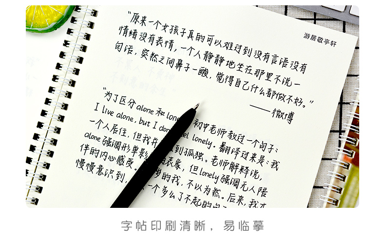 白昼记忆手写体练字帖本女生字体练字漂亮大学生楷书行楷钢笔硬笔书法