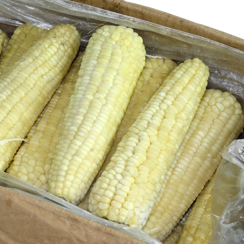 有检疫证冷冻白玉米原箱40根甜糯玉米东北黏玉米棒子速冻蔬菜生鲜原汁