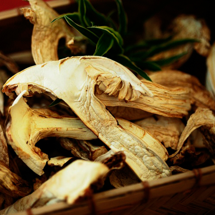 甘南藏区土特产松茸菌500g藏区深山蘑菇干货私享美味