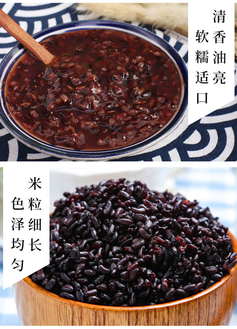 新米黑糯米农家紫米黑米粽子米五谷杂粮粥精选血糯米5袋5斤
