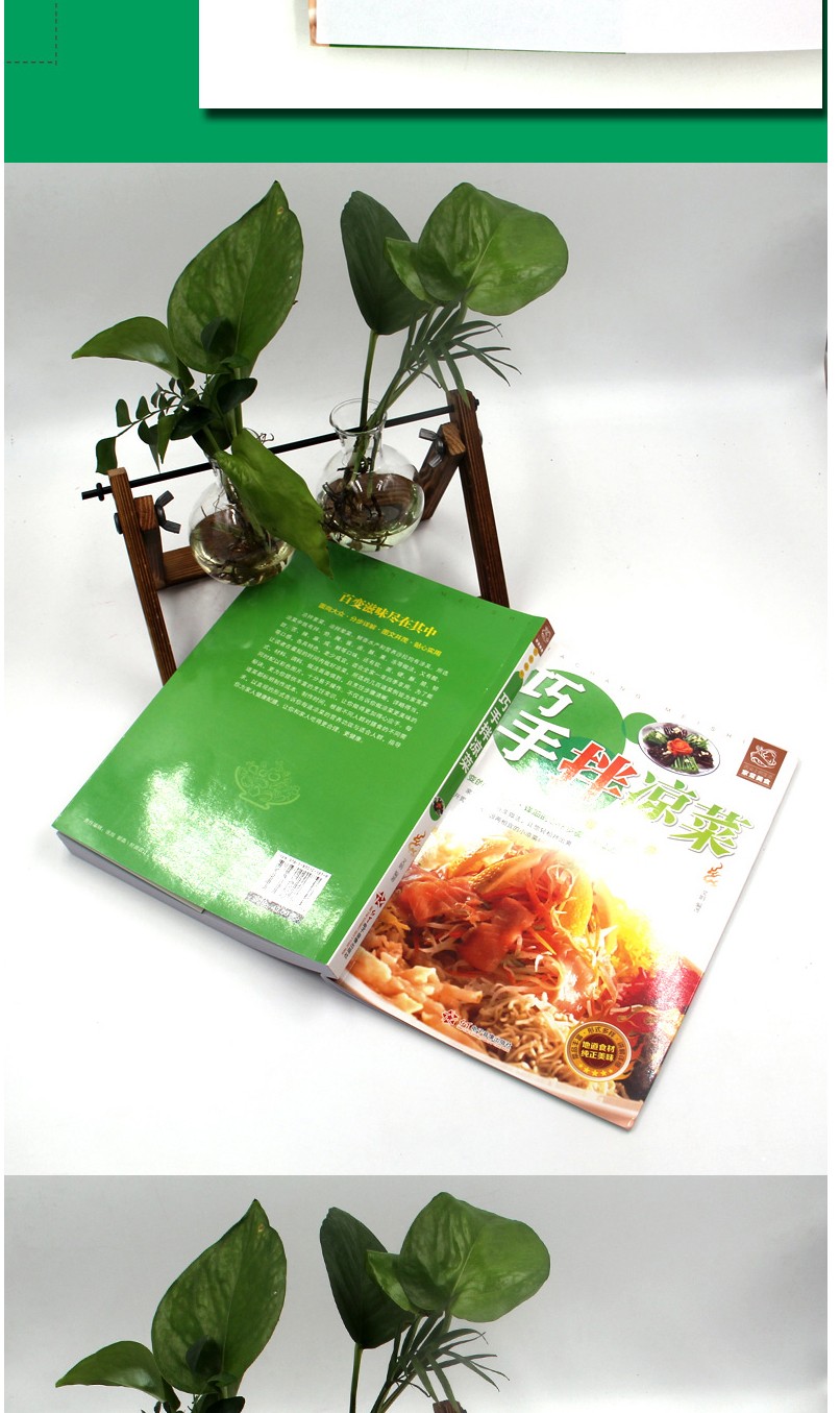 正版巧手拌凉菜彩图凉拌素材荤菜水产沙拉做法大全家常凉菜做法技巧