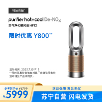 戴森(Dyson)空气净化暖风器 HP12 黑金 546372-01