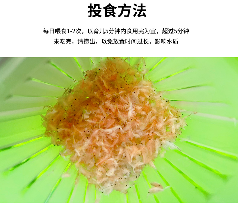 冰冻丰年虾渤海湾鱼食冷冻板成虫饲料一斤装幼虫幼卤块冻干红线虫