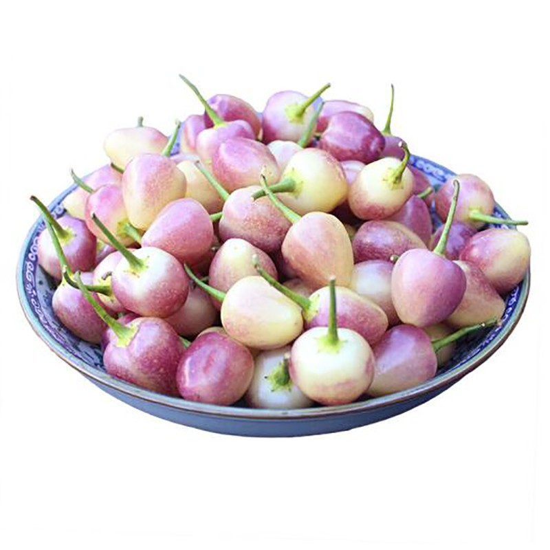 上海发五彩椒500g灯笼椒七彩椒珍珠泡椒辣椒新鲜蔬菜