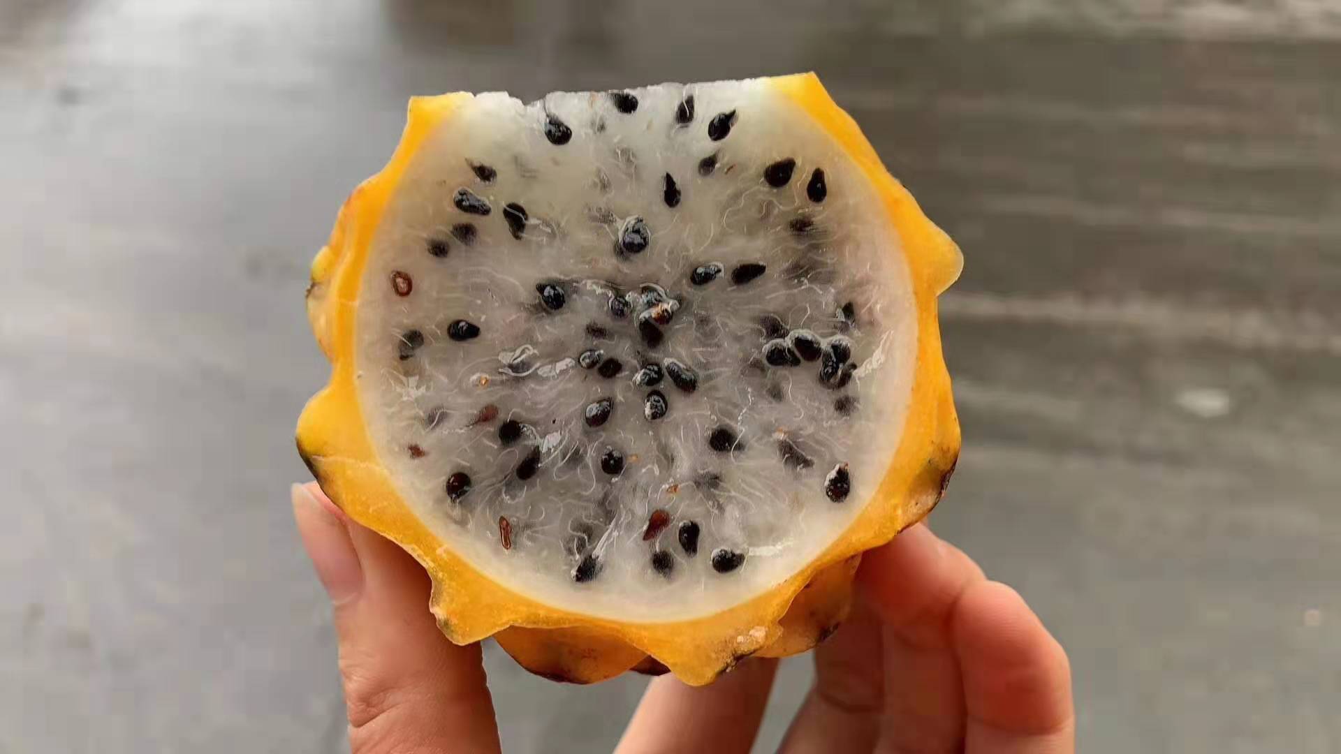 新鲜黄色火龙果麒麟果燕窝果进口黄肉火龙果1个装满2个顺丰邮