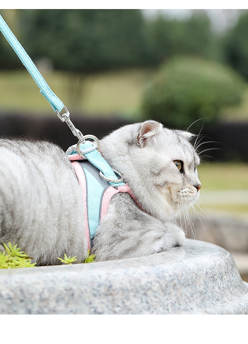 猫咪牵引绳防挣脱遛猫背心式猫绳子猫牵引溜猫绳子英短专用舒适的