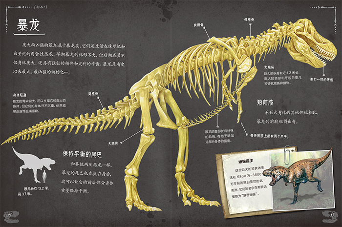 《惠典正版正版 惊人的骨头:消失的恐龙 罗布·科尔森,童趣出版有限公