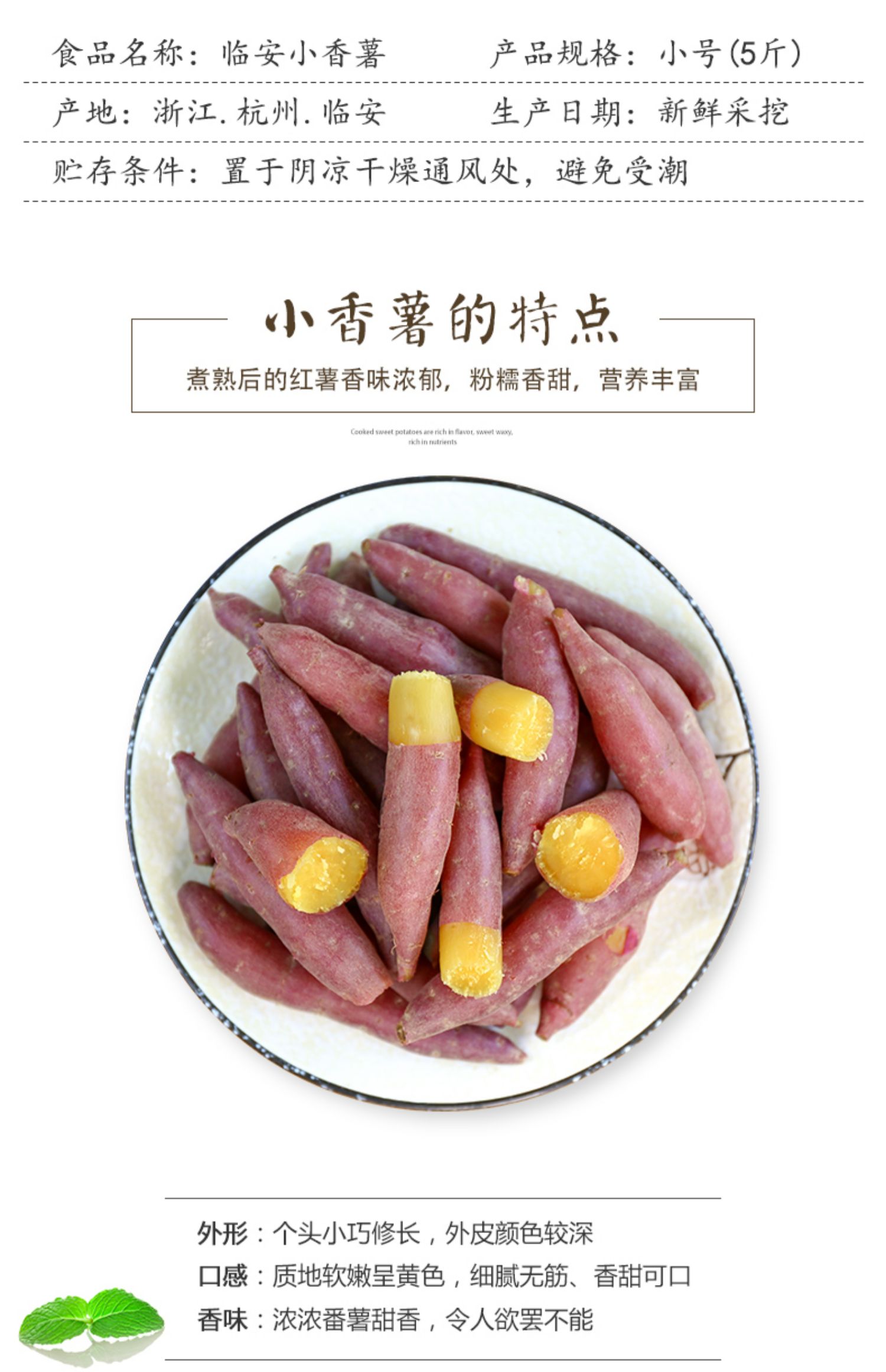 湛航临安天目山小香薯5斤新鲜红薯正宗板栗小番薯