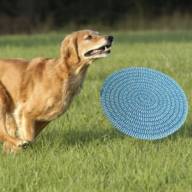 三件套狗狗玩具飞盘金毛边牧训练飞盘训犬飞碟狗狗互动玩具硅胶飞盘1