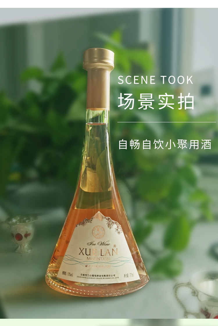 超级新品 雪兰山威代尔冰山葡萄酒11度375ml 单瓶