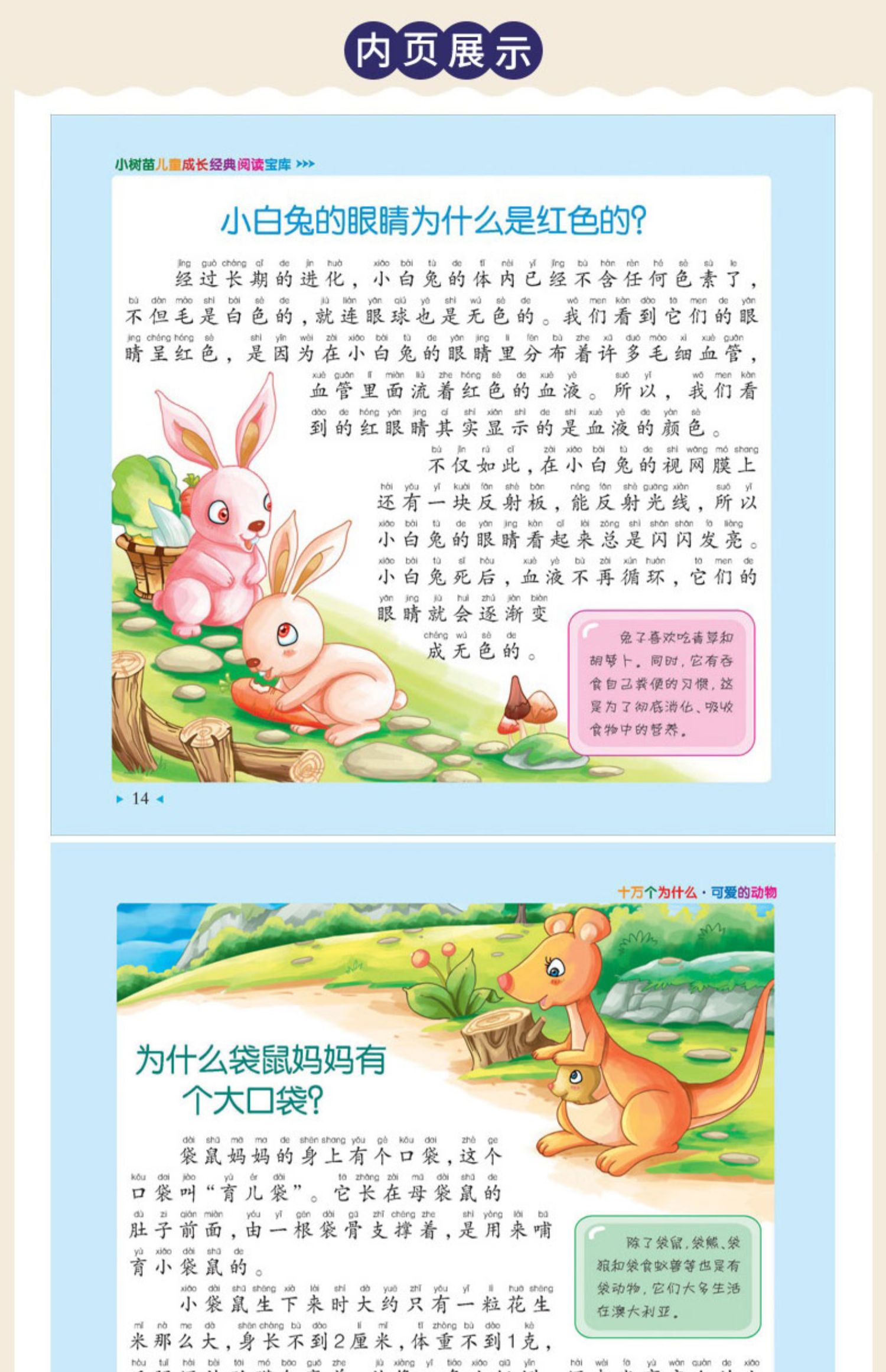 《【正版新書】十萬個為什麼幼兒版1注音版小樹苗兒童成長經典閱讀