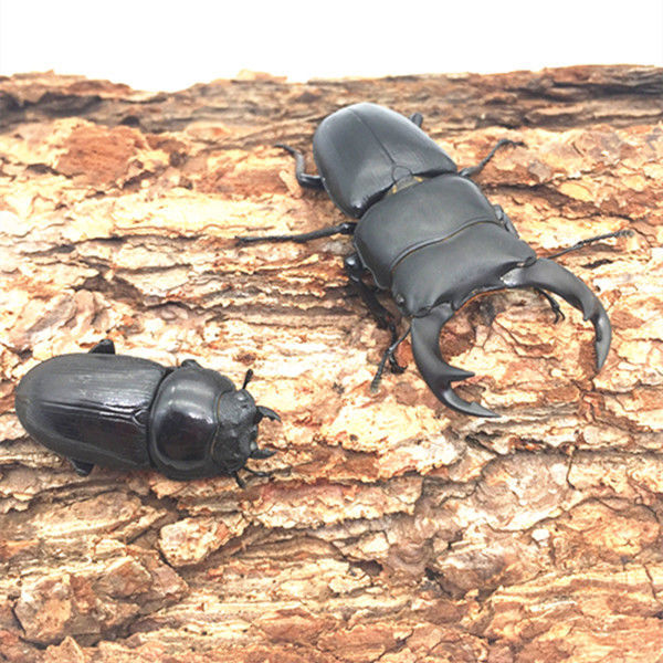 《母虫》无著【摘要 书评 在线阅读】-苏宁易购图书