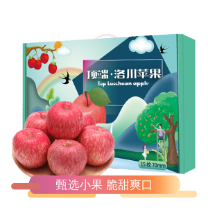 洛川苹果 陕西洛川红富士苹果礼盒 皮薄肉厚脆爽多汁 15枚70mm 小果苹果水果
