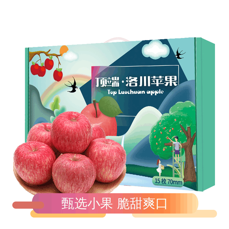 洛川苹果 陕西洛川红富士苹果礼盒 皮薄肉厚脆爽多汁 15枚70mm 小果苹果水果图片