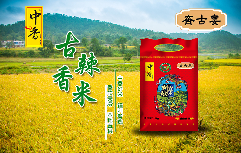 中香牌齐古宴古辣香米5kg正宗广西古辣镇10斤装南方大米
