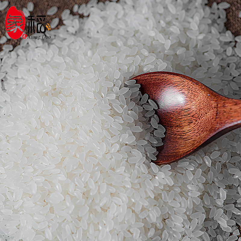 象稻东北长粒香米5kg