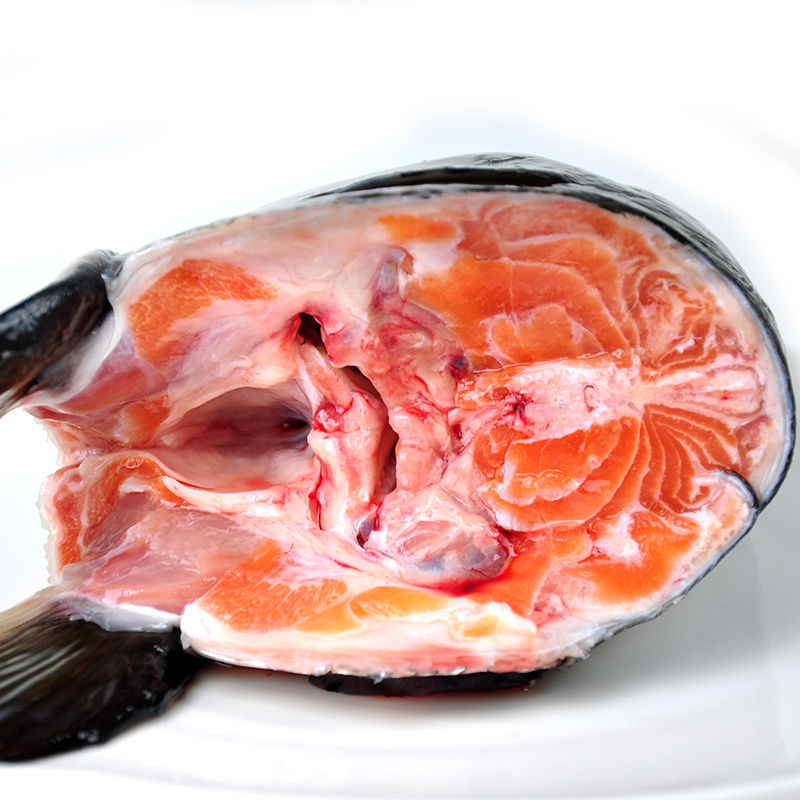 虹鳟三文鱼头鱼头新鲜超大冰鲜海鲜水产鲜活烧烤炖汤食材鱼头 当天现