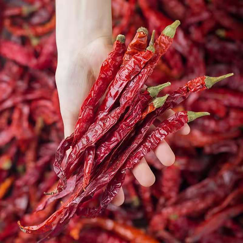 四川二荆条干辣椒中辣特香250克提色提香辣椒粉二荆条干辣椒二荆条整
