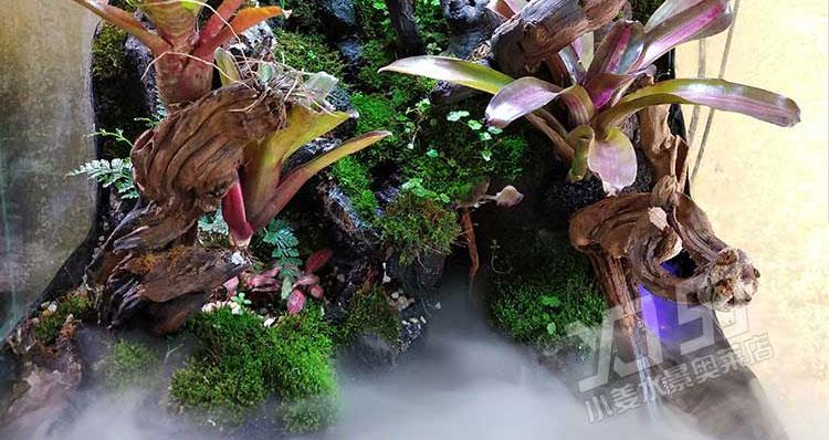 水族造景发泡胶水陆缸鱼缸雨林假山水族爬虫青龙石沉木卡乐发泡剂一瓶