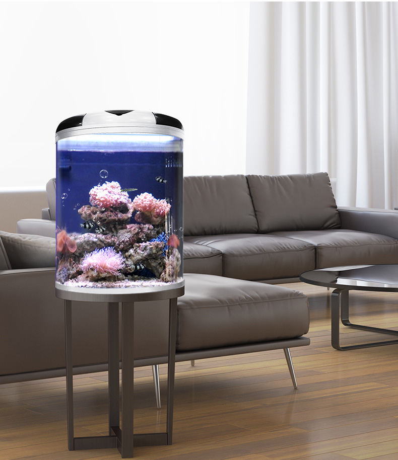 闽江半圆形鱼缸水族箱客厅家用小型懒人免换水玻璃生态造景金鱼缸