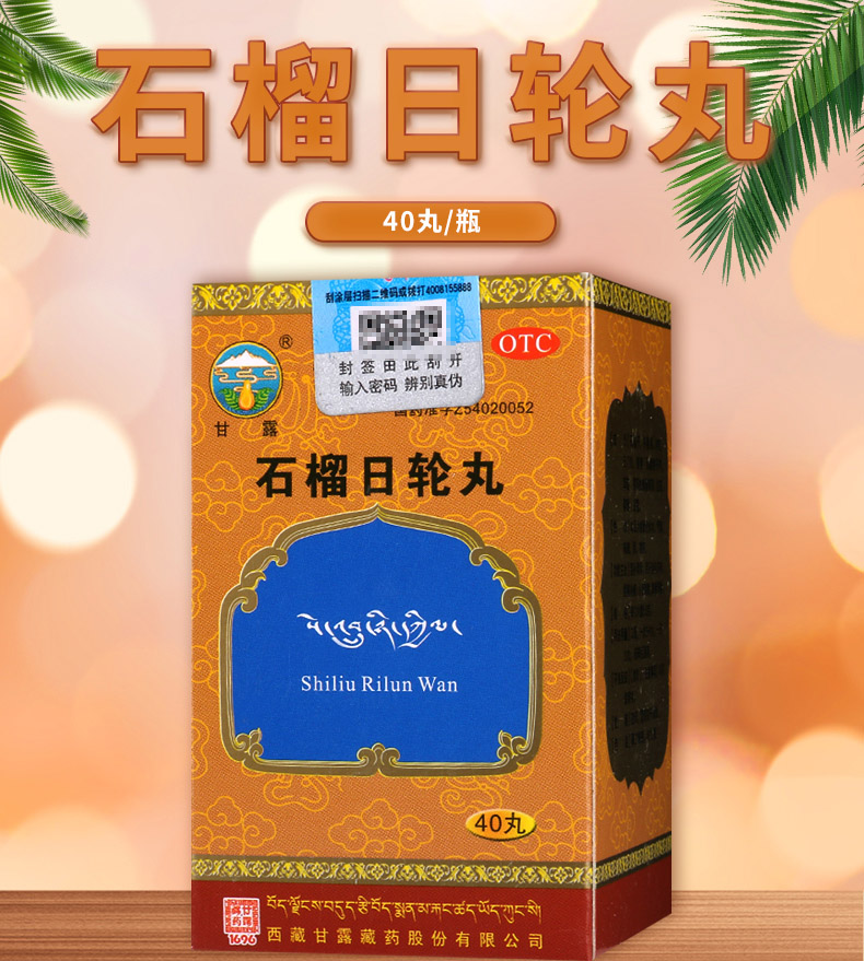 甘露 石榴日轮丸 40丸 消化不良腰腿冷痛脚背浮肿小便频数