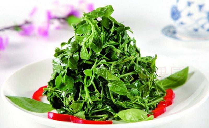 xj新鲜花椒芽500g花椒芽花椒叶花椒树叶保鲜嫩芽山野菜可开发票