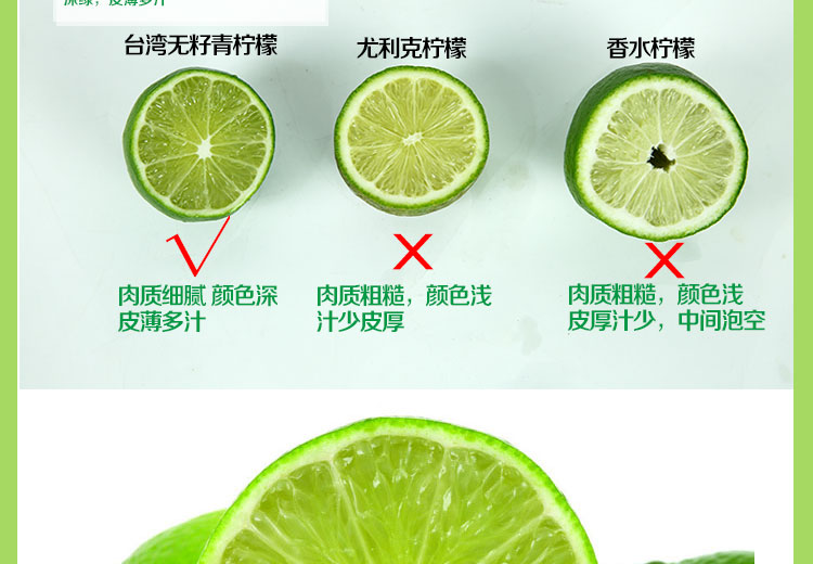 台湾无籽青柠檬四季香水柠檬新鲜现摘小青柠檬奶茶店专用应季批发