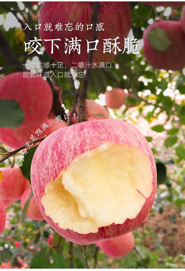 红富士苹果文案图片