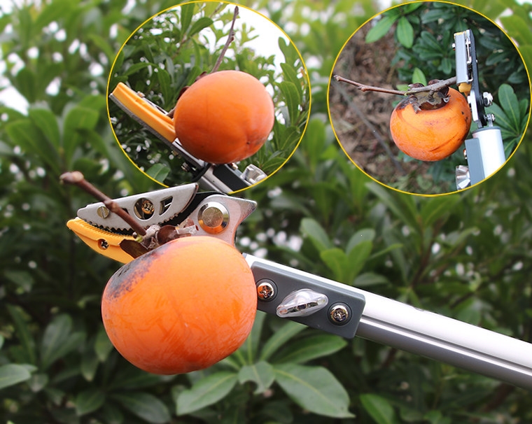 摘果器高枝剪果树树枝剪刀回固摘果剪高空加长伸缩摘果枇杷荔枝剪