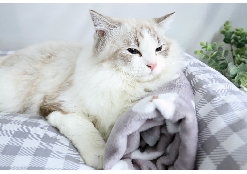 宠物专用米妮法兰绒毯子猫猫咪睡觉用毛毯猫毯珊瑚绒的小被子狗狗盖毯