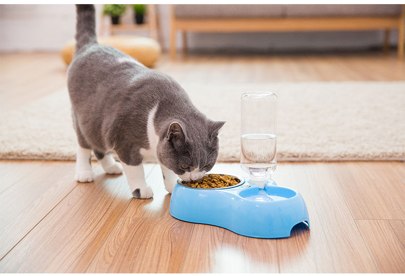 猫咪用品猫碗狗碗猫食盆宠物自动饮水猫